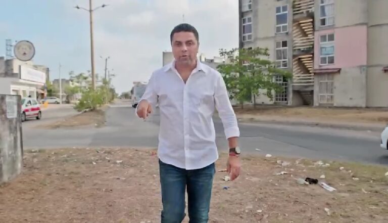 BACHES GALLO 3