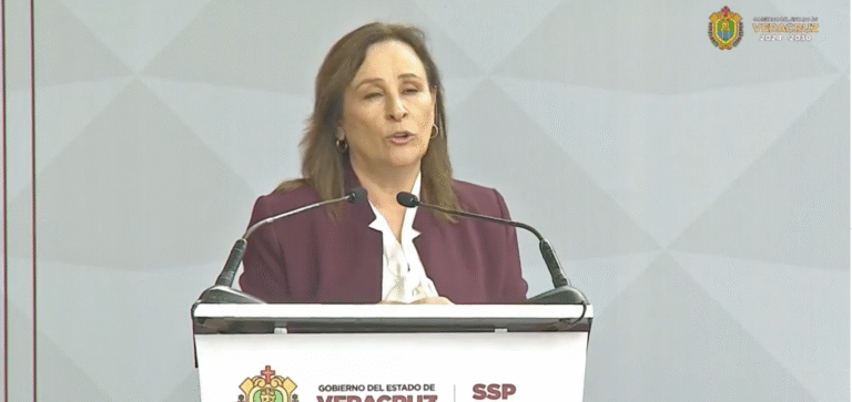 NAHLE CENSO BIENESTAR