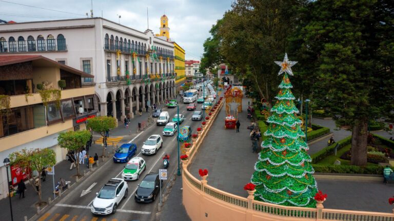 XALAPA NAVIDAD 1