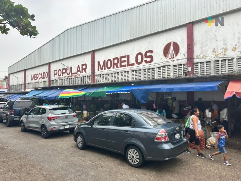 mercado-Morelos-de-Coatzacoalcos2