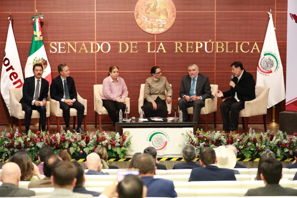 rosa-icela-plenaria-morena