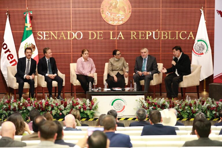 rosa-icela-plenaria-morena